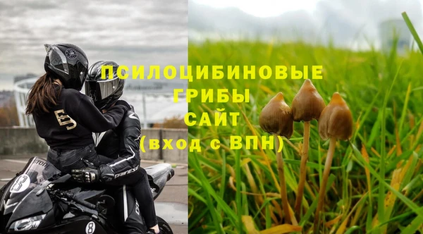 молекула духа Аркадак