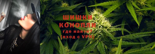 прущие крисы Арсеньев